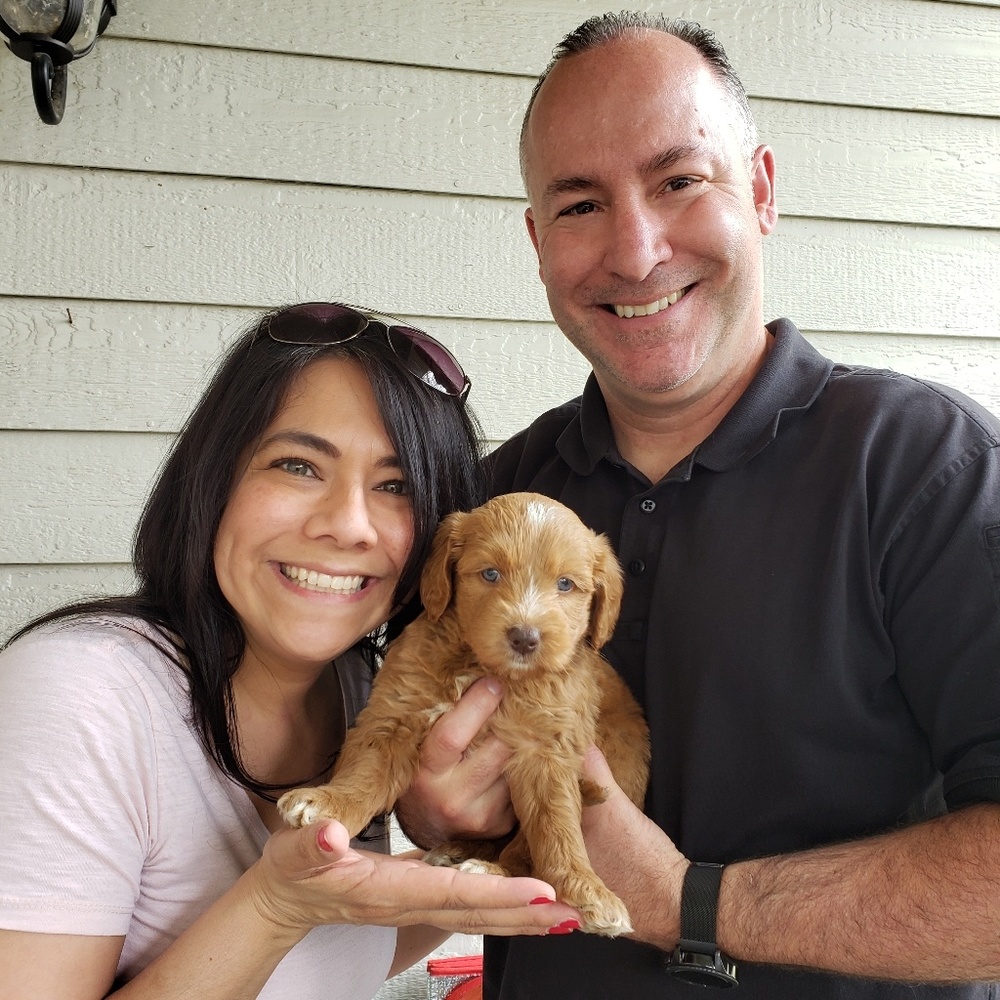 Meet your Posher, Monica